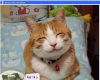FunnyAnimal10_sized.jpg