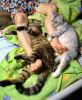 legwarmer2kf.jpg